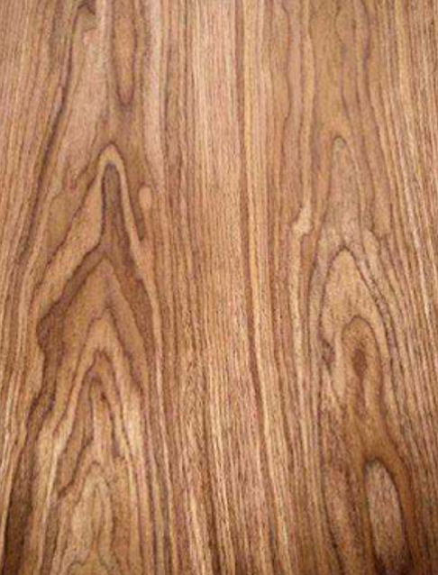 Walnut Holzfurnier